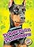 Doberman Pinschers (Awesome Dogs)