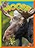 Moose (Wild Animal Kingdom)