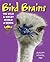 Bird Brains: The Wild & Wacky World of Birds