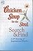 Chicken Soup for the Soul Search and Find A 2nd Serving of Inspirational Puzzles
