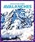 Avalanches (Disaster Zone)
