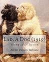 Lad: A Dog (1919)...