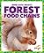 Forest Food Chains (Who Eats What?)
