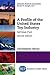 A Profile of the United States Toy Industry, Second Edition by Christopher Byrne