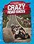 Crazy Road Races