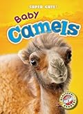 Baby Camels