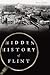 Hidden History of Flint