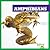 Amphibians (Bullfrog Books: Animal Classification)
