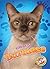 Burmese (Cool Cats)