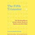 The Fifth Trimester: The Working Mom's Guide to Style, Sanity, and Big Success After Baby