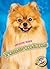 Pomeranians (Awesome Dogs)