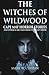 The Witches of Wildwood by Mark W.  Curran