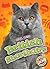 British Shorthairs (Cool Cats)