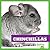 Chinchillas (My First Pet)