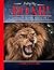 Find my ROAR! A Prophetic Training Manual by Carla Clark