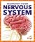Nervous System (Pogo Books: Amazing Body Systems)