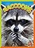 Raccoons (Wild Animal Kingdom)