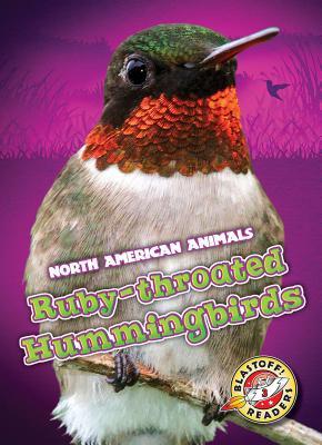 Ruby-throated Hummingbirds (North American Animals)