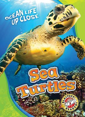 Sea Turtles (Ocean Life Up Close)
