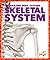 Skeletal System (Pogo Books: Amazing Body Systems)