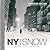 New York in the Snow