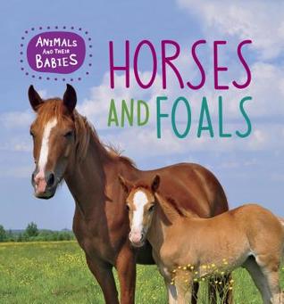 Horses and Foals