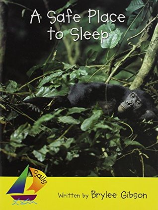 A Safe Place to Sleep (Paperback)