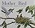 Mother Bird