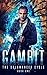 Gambit (The Solumancer Cycl...