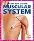 Muscular System (Pogo Books: Amazing Body Systems)
