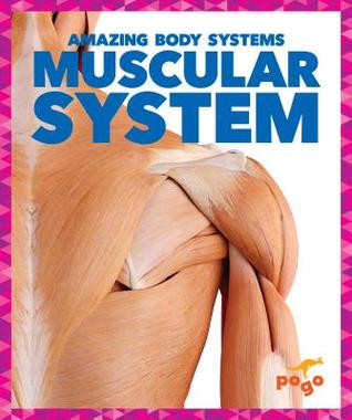 Muscular System (Pogo Books: Amazing Body Systems)