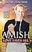 Amish Love Saves All (Peace...