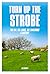 Turn up the Strobe: The KLF, The JAMS, The Timelords: A History