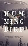 Hummingbird by Tristan Hughes