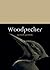 Woodpecker by Gerard Gorman