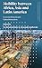 Mobility between Africa, Asia and Latin America: Economic Networks and Cultural Interactions (Politics and Development in Contemporary Africa)