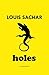 Holes