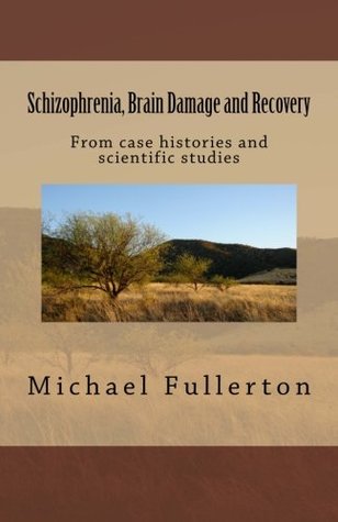 Schizophrenia, Brain Damage and Recovery: From case histories and scientific studies (Paperback)