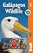 Galápagos Wildlife (Bradt Travel Guides by David Horwell