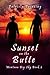 Sunset on the Butte (Montana Big Sky Book Book 2)