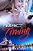 Perfect Timing (Bedlingham, #1)
