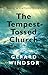 The Tempest-Tossed Church  by Gerard Windsor
