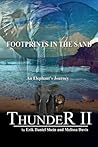 Foot prints in th...