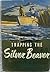 Trapping the Silver Beaver