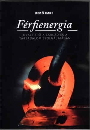 Férfienergia (Paperback)
