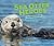 Sea Otter Heroes: The Predators That Saved an Ecosystem