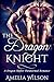 The Dragon Knight