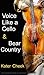 Voice Like a Cello & Bear C...
