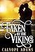 Taken By The Viking