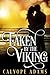 Taken By The Viking